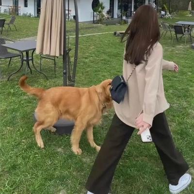 探寻完美的人类饮食